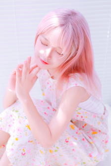 北方有佳人电视剧全集免费观看